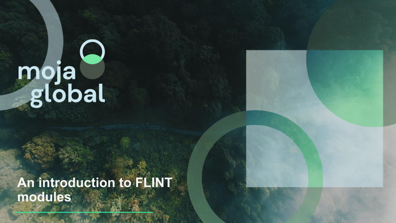 Cover Image for the case study titled `An introduction to FLINT Modules`