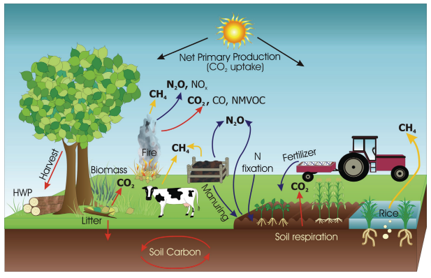 The main greenhouse gas emission sources/removals and processes in managed ecosystems.